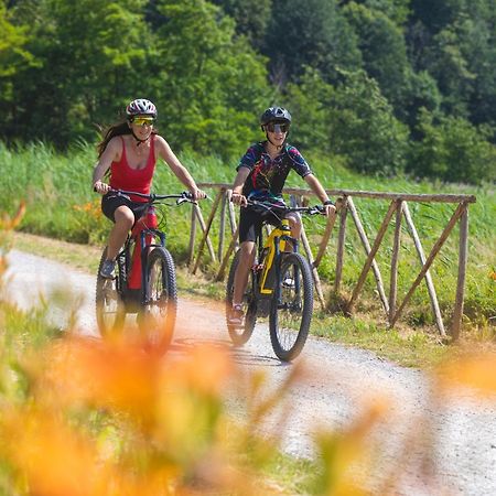 I Laghee Casette Breva E Tivano -Garden-Parking-Lake View - Bike Friendly Holiday House كوليكو المظهر الخارجي الصورة
