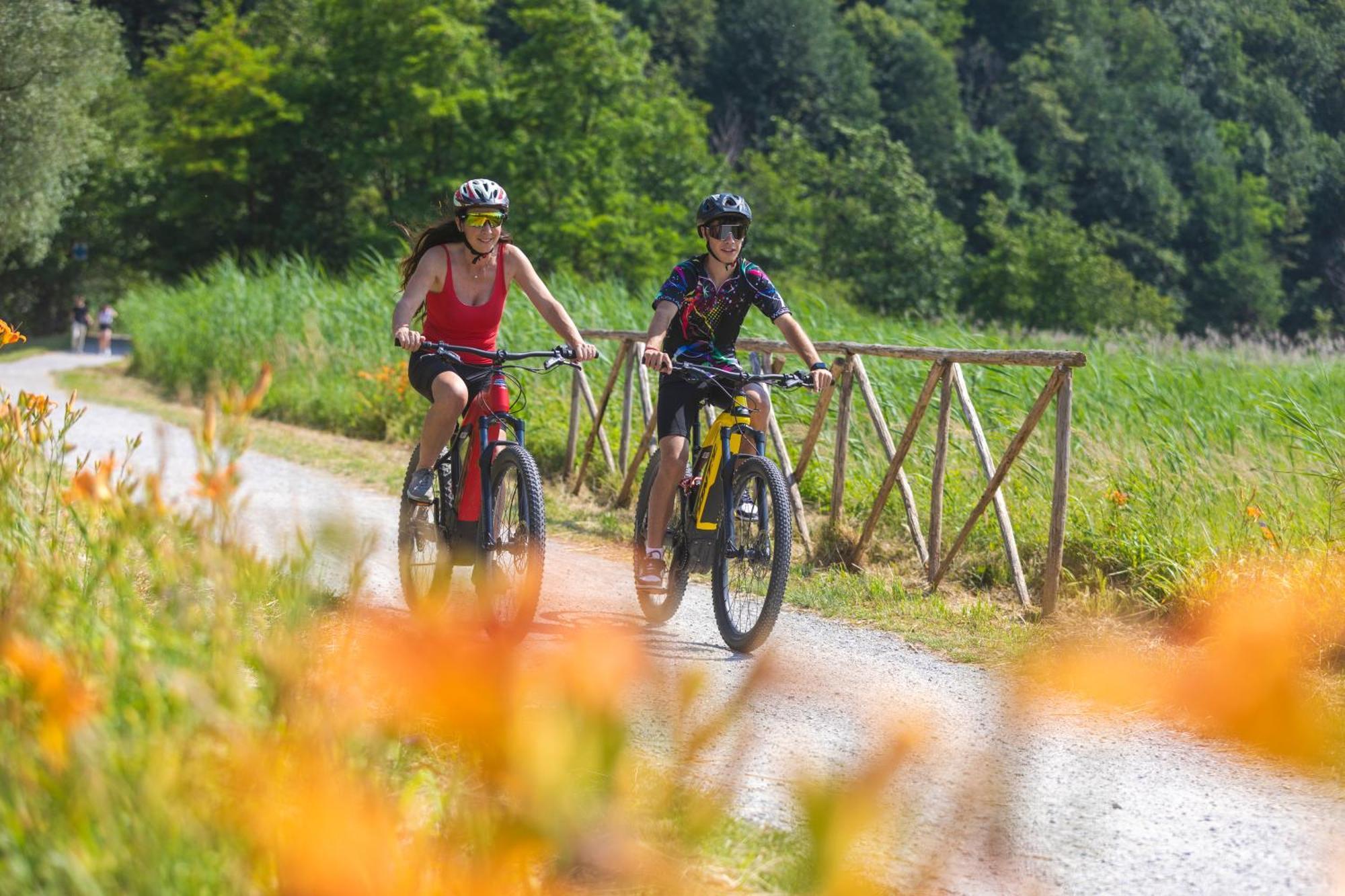 I Laghee Casette Breva E Tivano -Garden-Parking-Lake View - Bike Friendly Holiday House كوليكو المظهر الخارجي الصورة